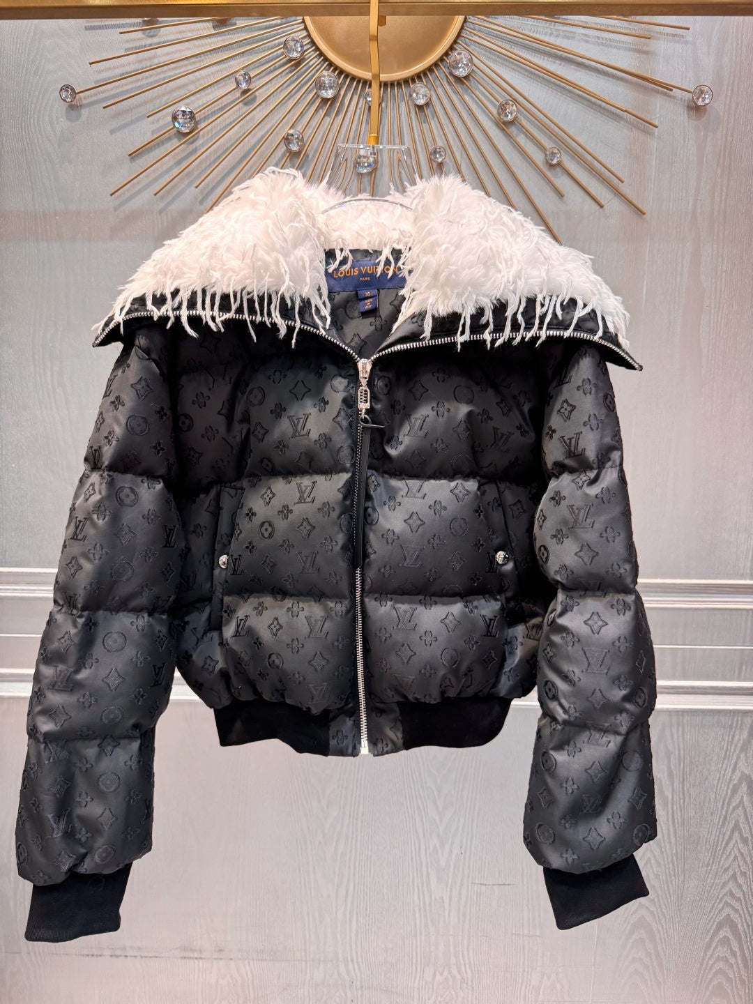 Loe**new Ski Series Women's Down Jacket