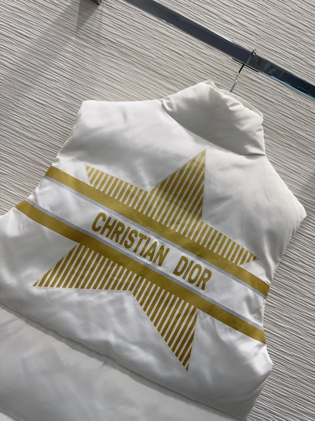 Cd 25fw new autumn/winter down vest coat