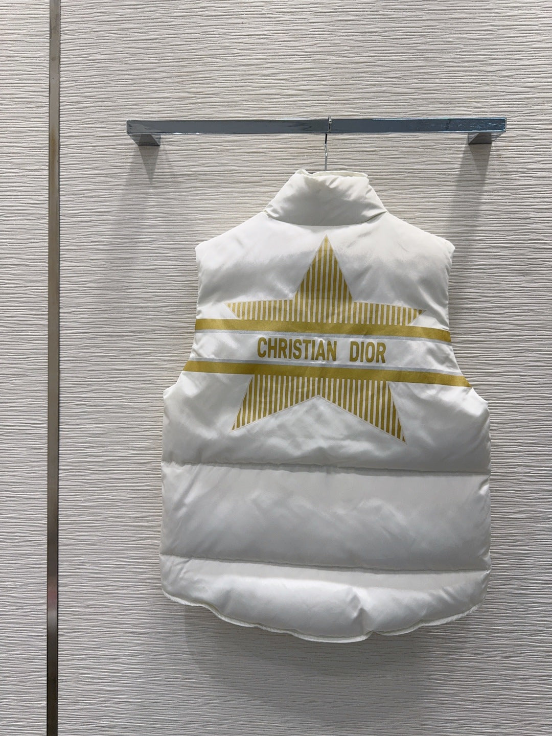 Cd 25fw new autumn/winter down vest coat